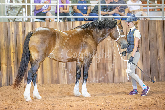 KB2_6556