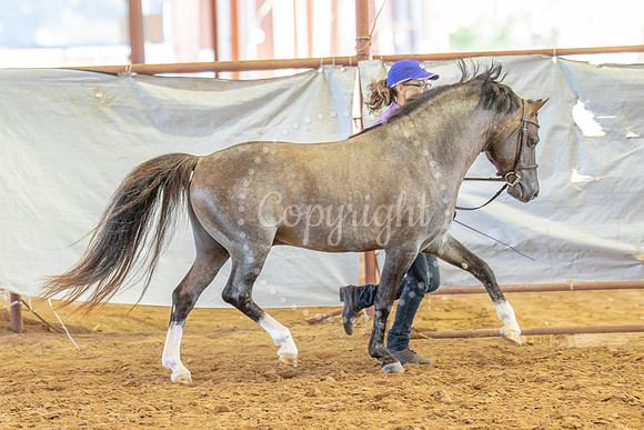 KB2_6179