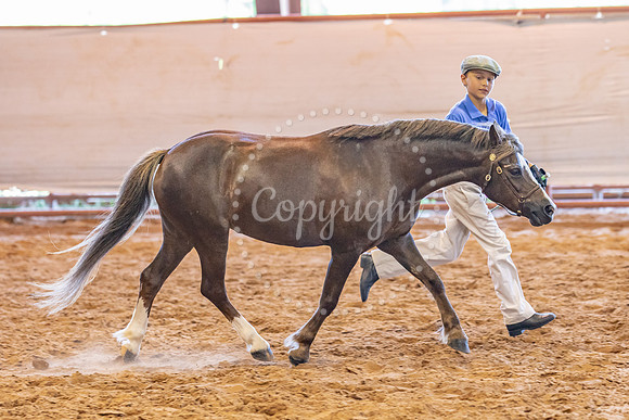 KB2_5331