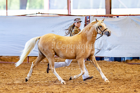 KB2_5382