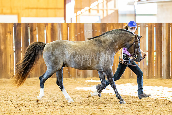 KB2_6306