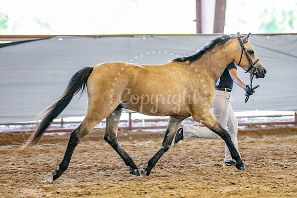 KB2_5149