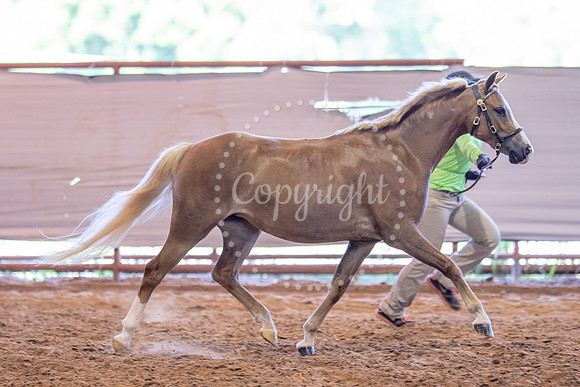 KB2_5532