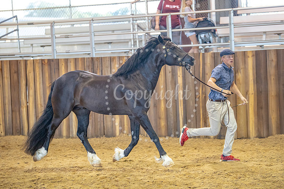 KB2_6610