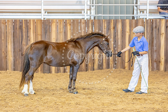 KB2_5336