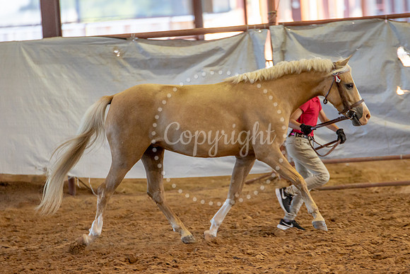 KB2_6803