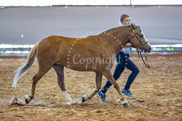 KB2_5352