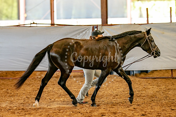 KB2_5144