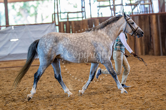 KB2_5849