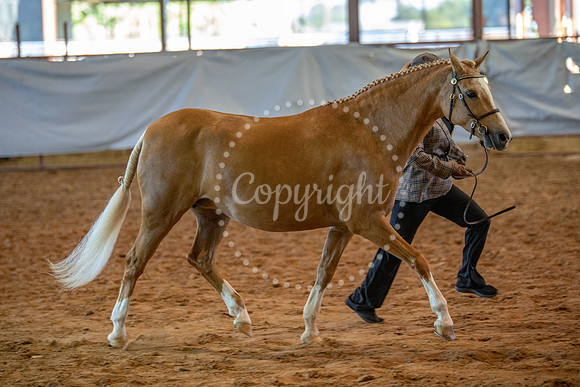 KB2_6670