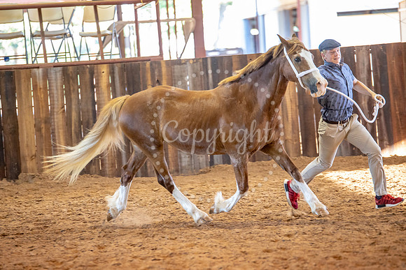 KB2_6524