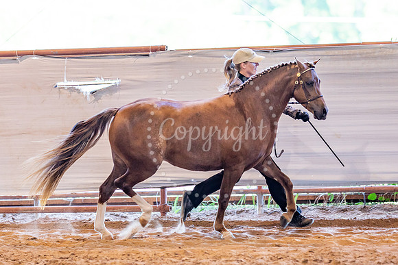KB2_5468