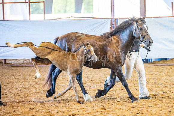 KB2_6385