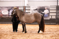 KSB16795