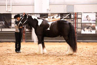 KSB16787