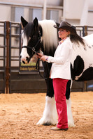 KSB16806