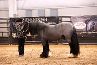 KSB16793