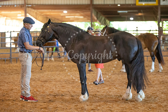 KB2_6639