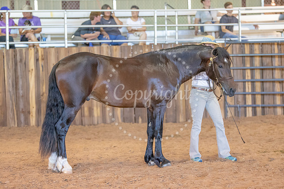 KB2_6601