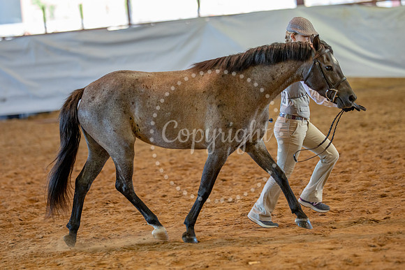 KB2_5834