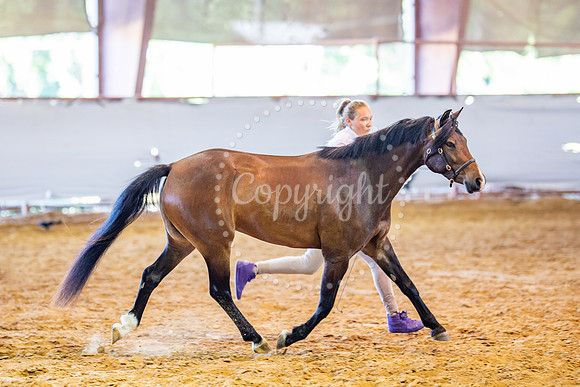KB2_5589