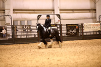 KSB11219