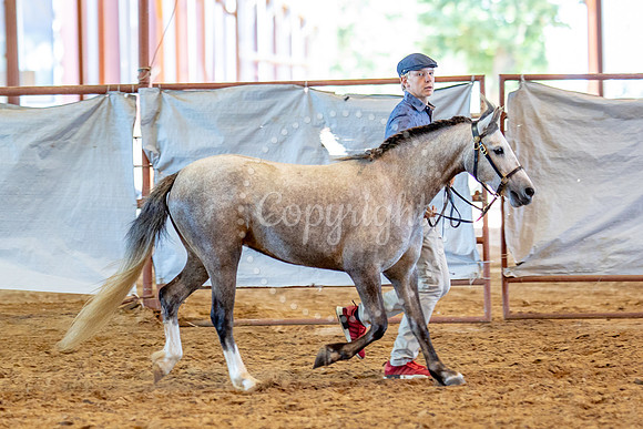 KB2_5708