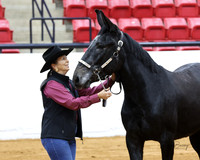 5. Mule - Open Halter