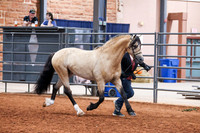 KSB_7962