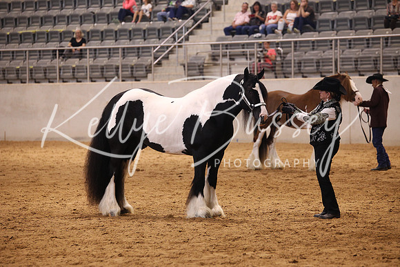 KSB16915