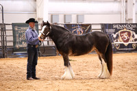 KSB16919