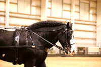 KSB17887
