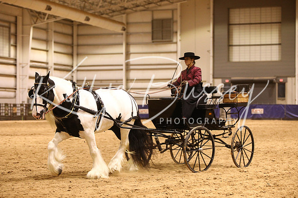 KSB17898