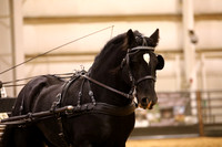 KSB17870