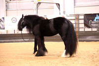 KSB16097