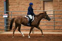 AN1O0110