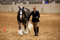 KSB11729