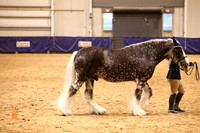 KSB11727