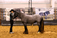 KSB_0267