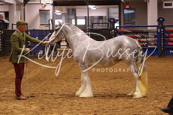 KSB_0271