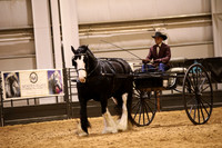 KSB17777
