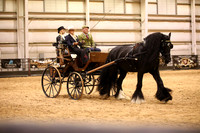 KSB17775