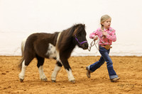 15. Mini Horses - Youth In Hand Trail
