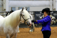 KSB_0311