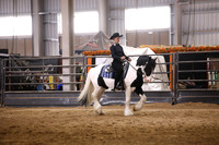 KSB10001