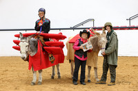 17. Donkey/Mule - Costume