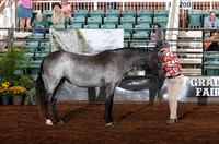 HU2A0424