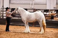 KSB16726