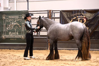 KSB16746