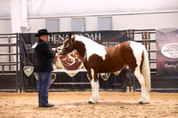 KSB16747